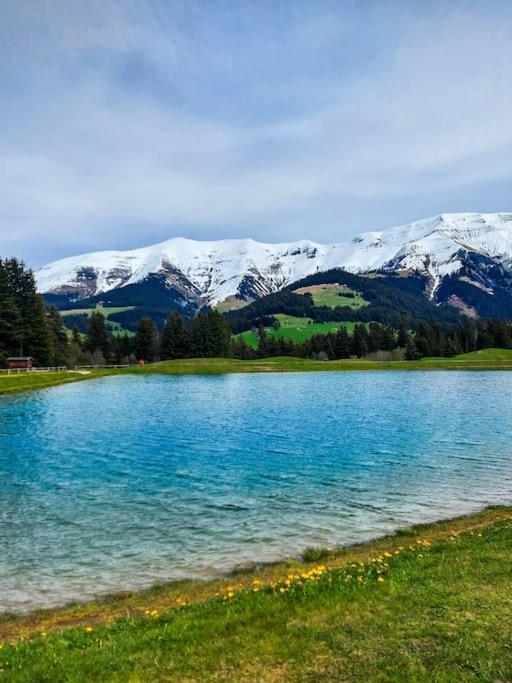 Appartement Logement A Megeve Avec Jardin Extérieur photo