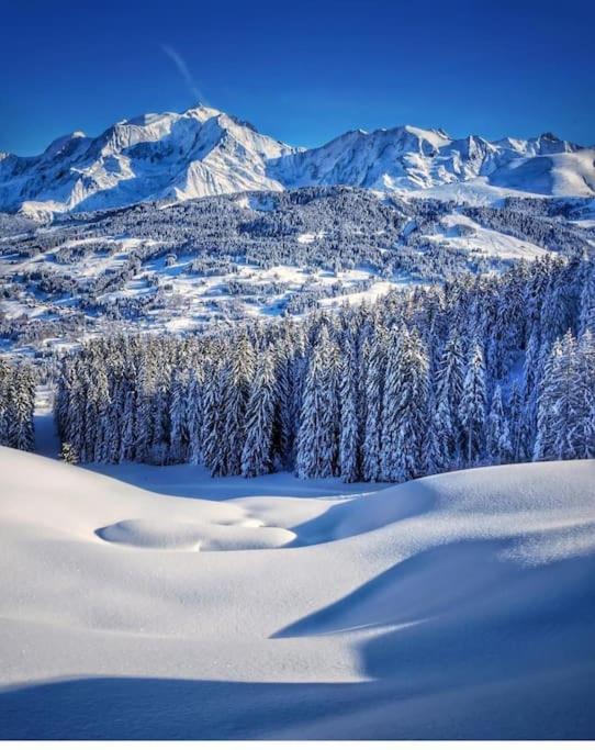 Appartement Logement A Megeve Avec Jardin Extérieur photo