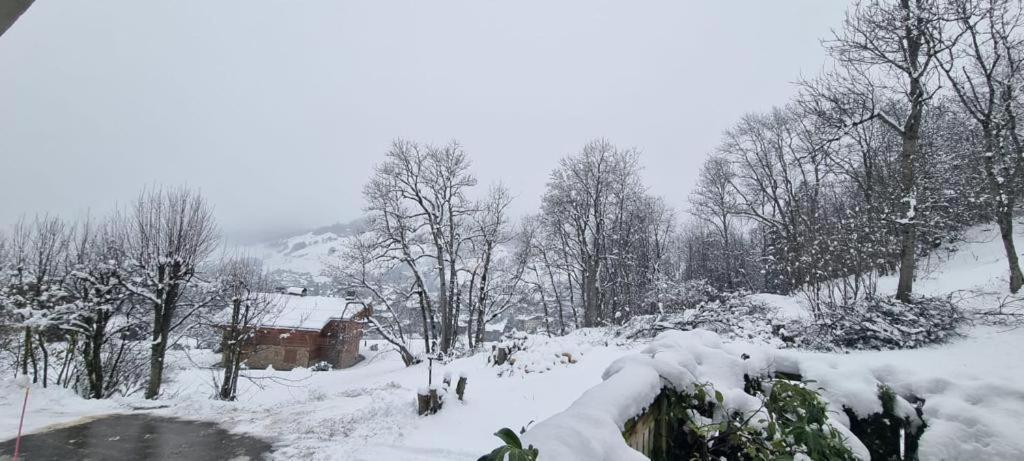 Appartement Logement A Megeve Avec Jardin Extérieur photo