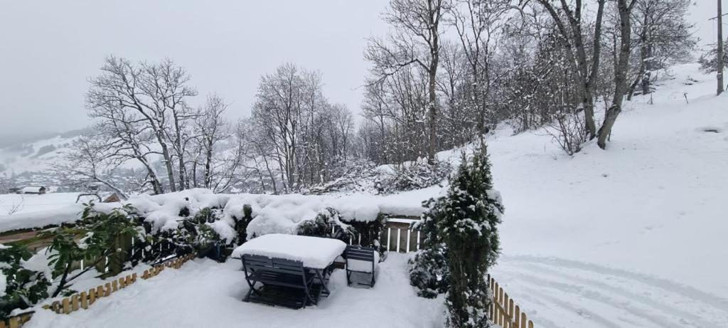 Appartement Logement A Megeve Avec Jardin Extérieur photo