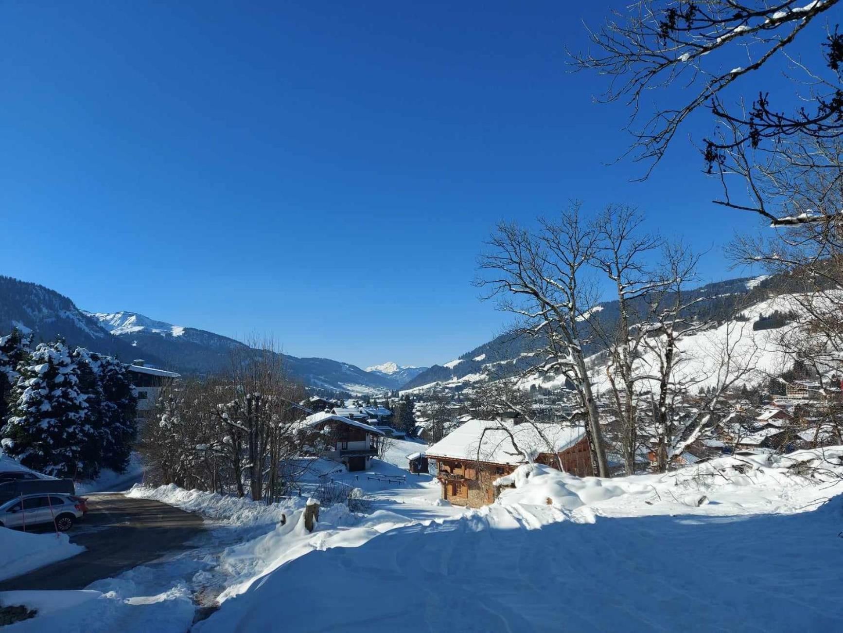 Appartement Logement A Megeve Avec Jardin Extérieur photo